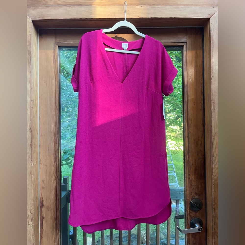 Hot Pink V Neck Dress